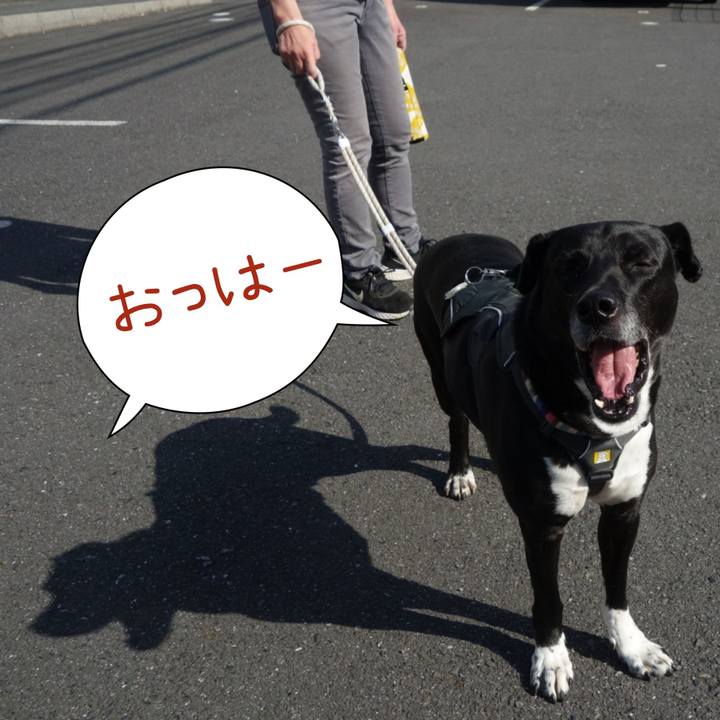 270e768f 7d0c 4fae a83d 3f9a5a27ddcc 1651626652272