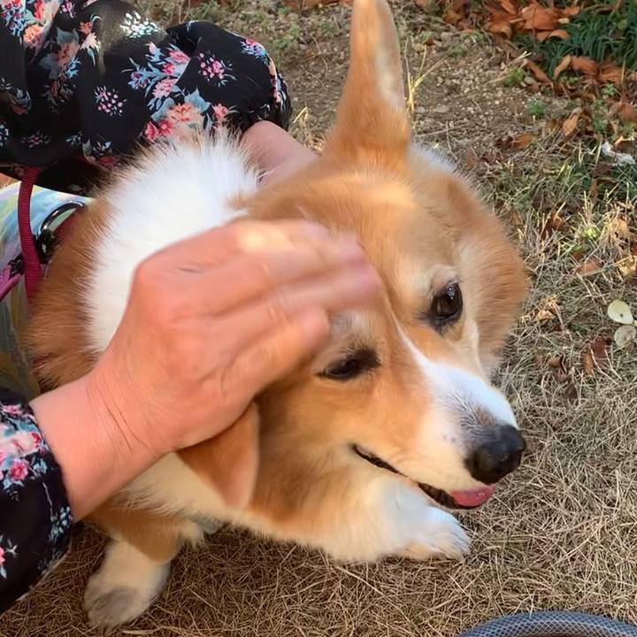 270e78c3 c99c 467e b729 5cc2b2543eaa 1674290102139