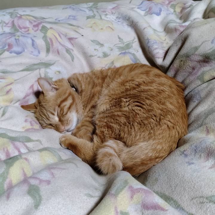 270e94d6 2aa0 40a6 9eeb 555ec5f2b57c 1673872729983