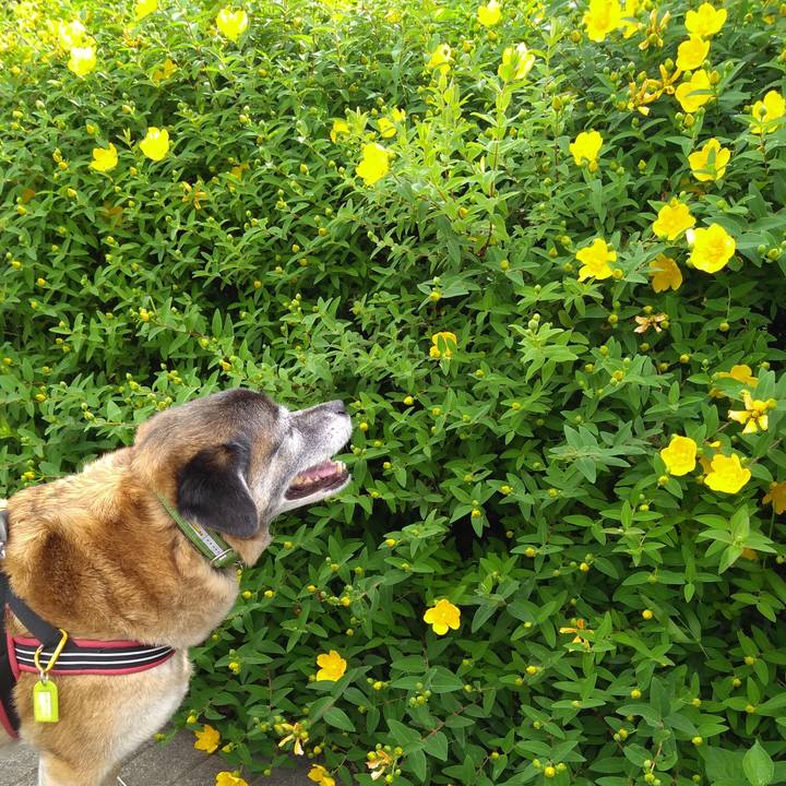 270e989c fc08 4241 9d36 97e730f1ae30 1559002118612