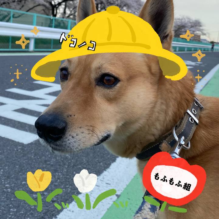 270ef23d 9888 49ce aeaf 6d3993cd4d78 1712487090938