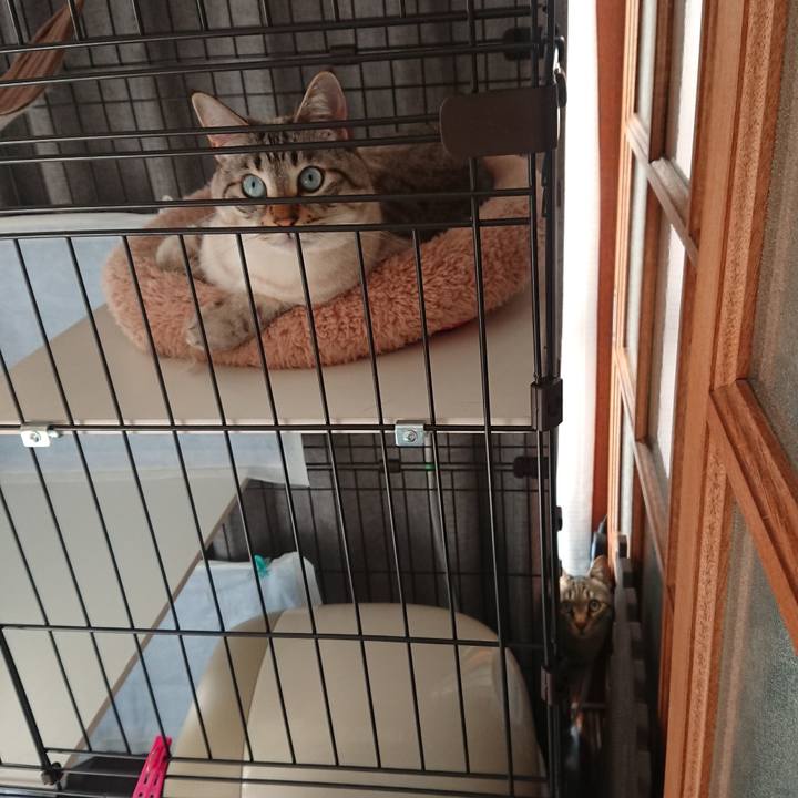 270f0bd8 1eb3 4124 a4ec c437a182018e 1554016971733