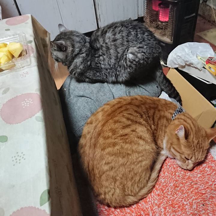 270f1f7c c986 4d7f 8826 0f7a171118a0 1574332500000