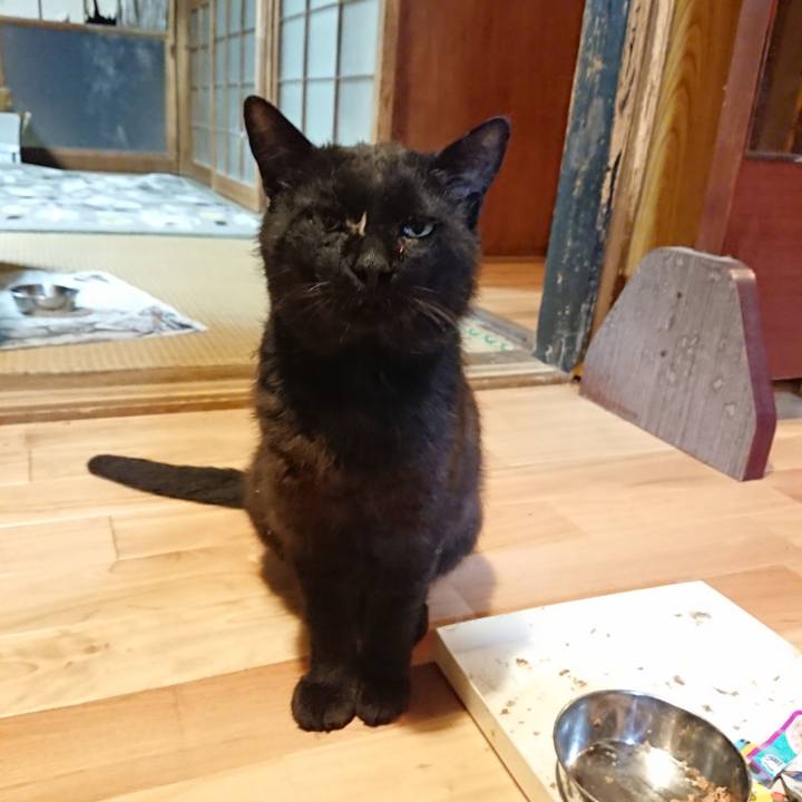 270f2ef5 6305 46d1 b8da 284986211b6c 1623756683414