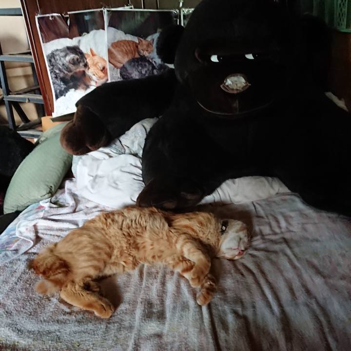 270f37a4 84e7 4667 87fc b91223fdfcb1 1660633094980