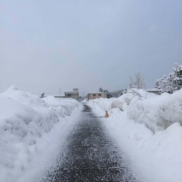 270f6e46 8988 49de 9d6c 7ac604ec9993 1611675168470