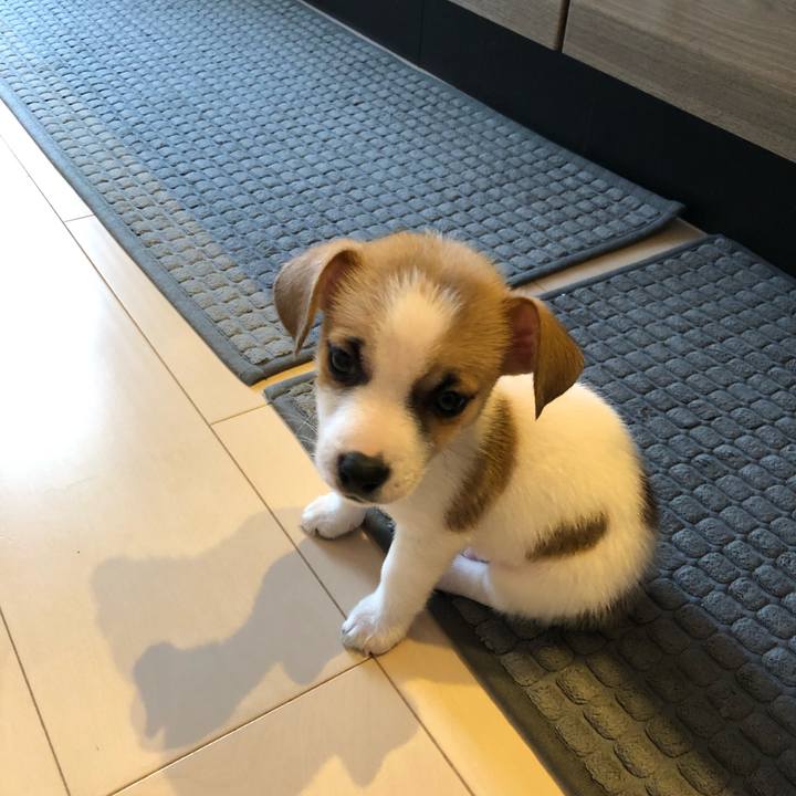 270f7aa7 51bd 49ad 98b2 782084eba06c 1543664379019