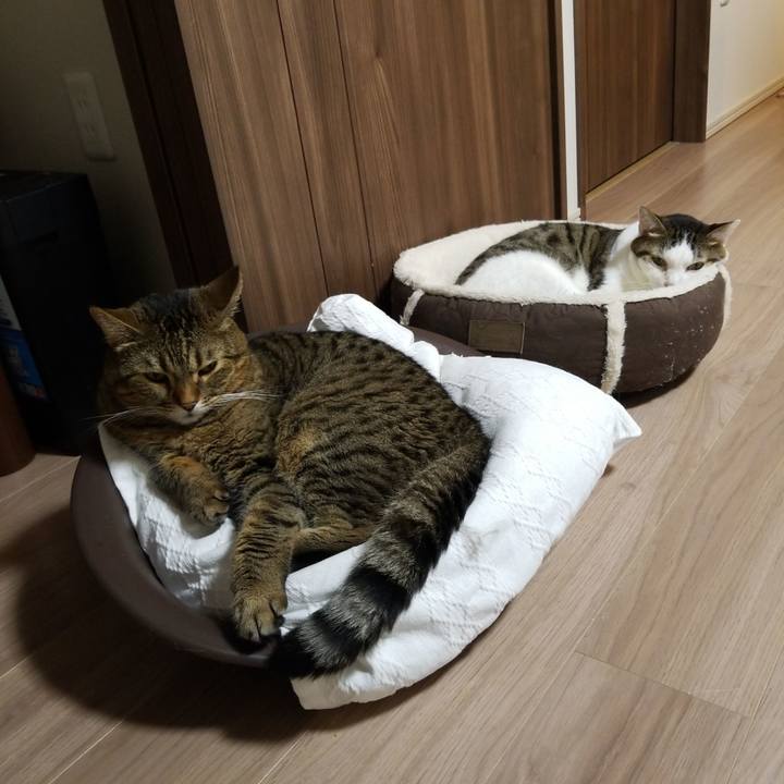 270fb2fb f2a3 4eab aedc 3881647097a8 1572262738495