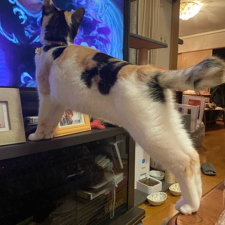 270fcfcd 0c2e 45d2 a4f2 d5ce9ddc1dd6 1670500198342