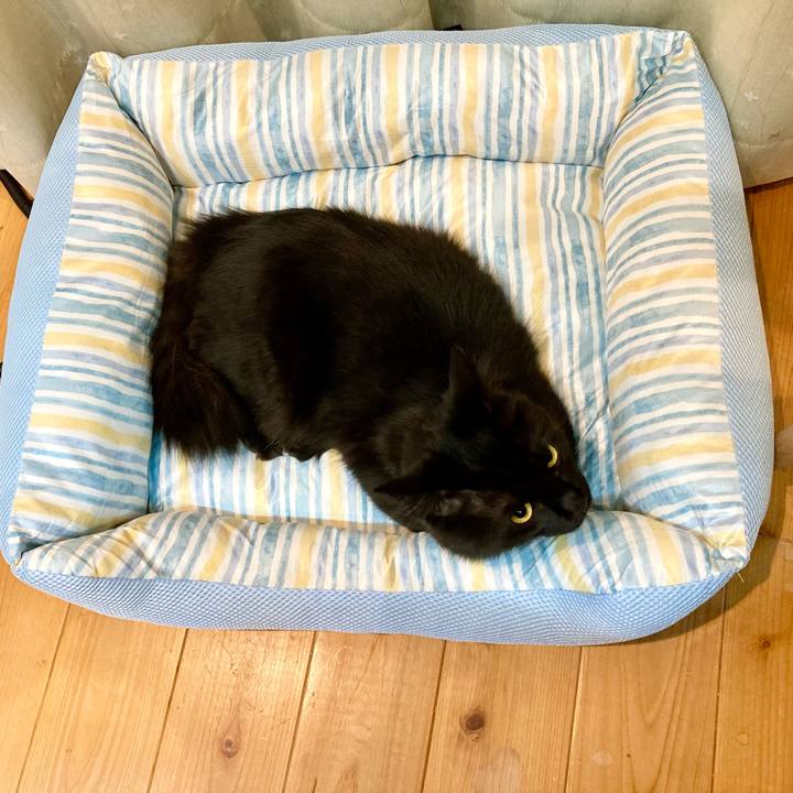 270fdf19 872d 46ed 9a67 73952e2e7ca6 1714625862321