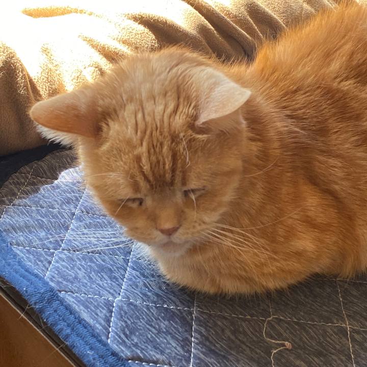 2710524b 95b5 4551 80f6 466c97d009eb 1585018191537