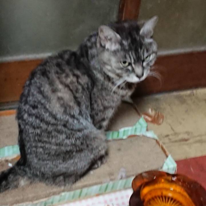 271087e6 2c19 4e34 8c82 31ac0759e229 1555928703395