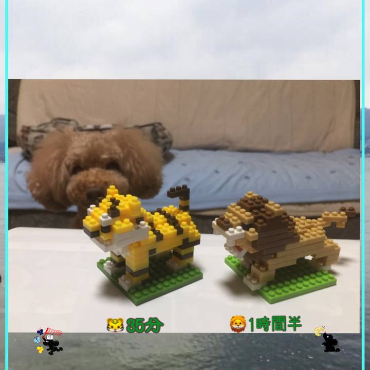 2710e6f3 1855 46b2 be40 c8a1a1f9e83d 1538474087265