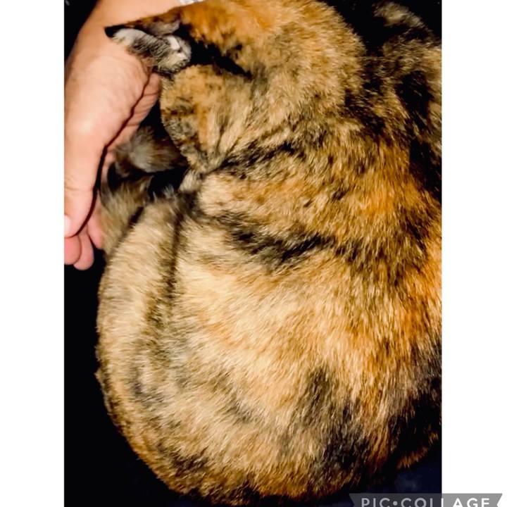 27110402 df2c 4774 a9d8 7182be463020 1728764636345