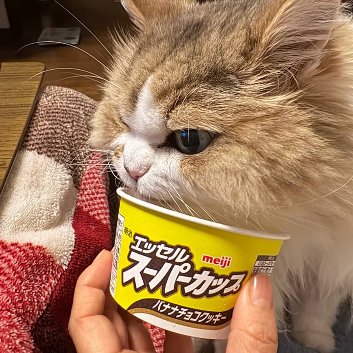 271113f3 305c 4730 b5f9 34635c724c49 1772791301972