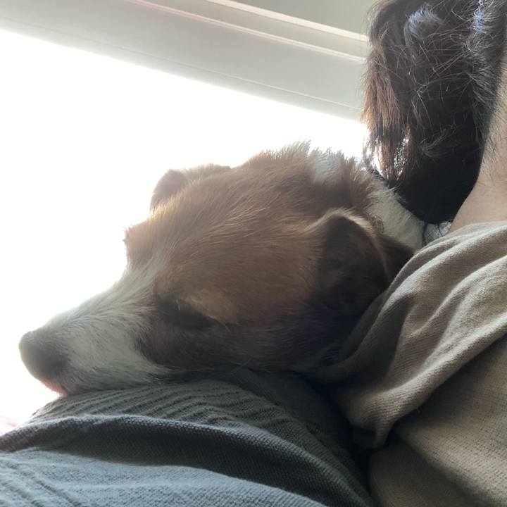 27111592 9403 4ad5 9650 68b1b9d279fb 1588342935520