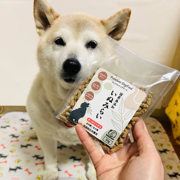 27112e31 7292 421b b933 3b25b71418c1 1736929405516