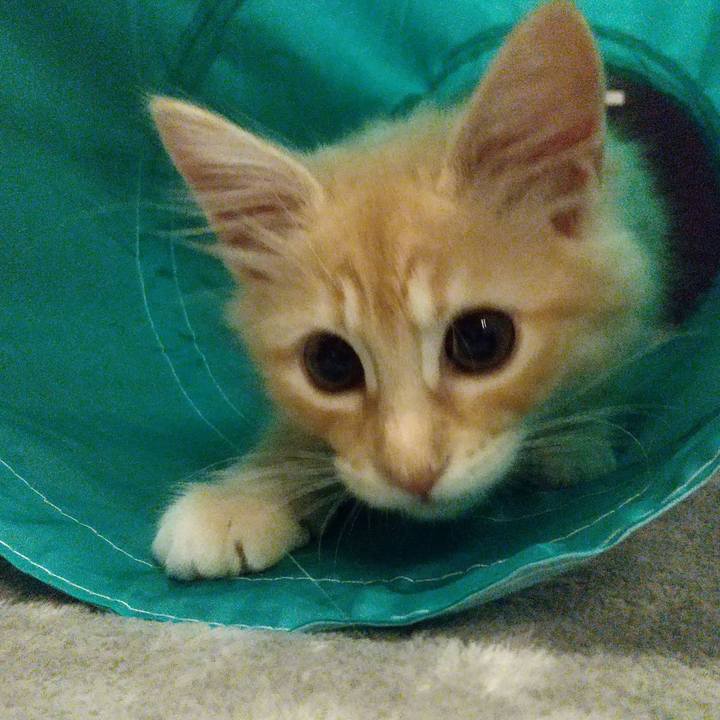 27113dcb 0a37 482b add8 4629ad170b3e 1605563766161