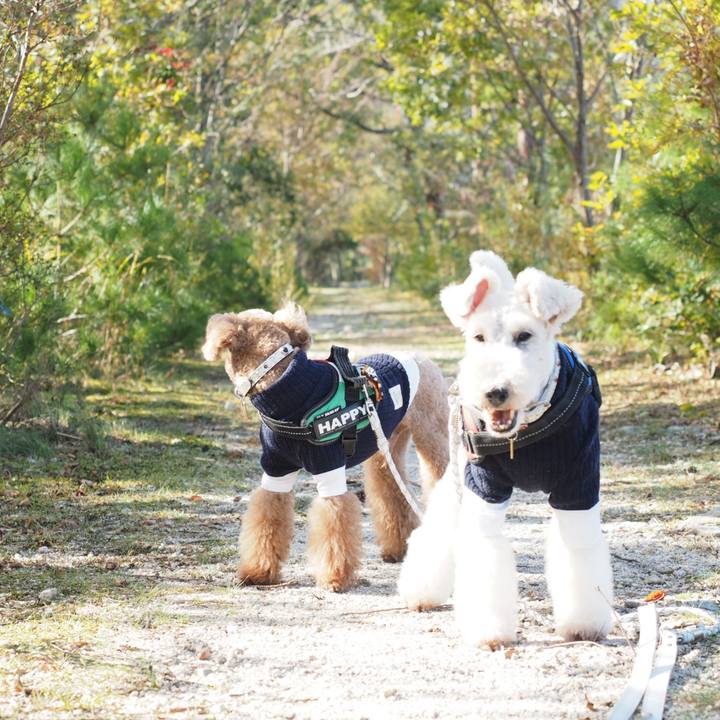 2711590e beeb 4bf4 b872 dab739a0f576 1574004029209