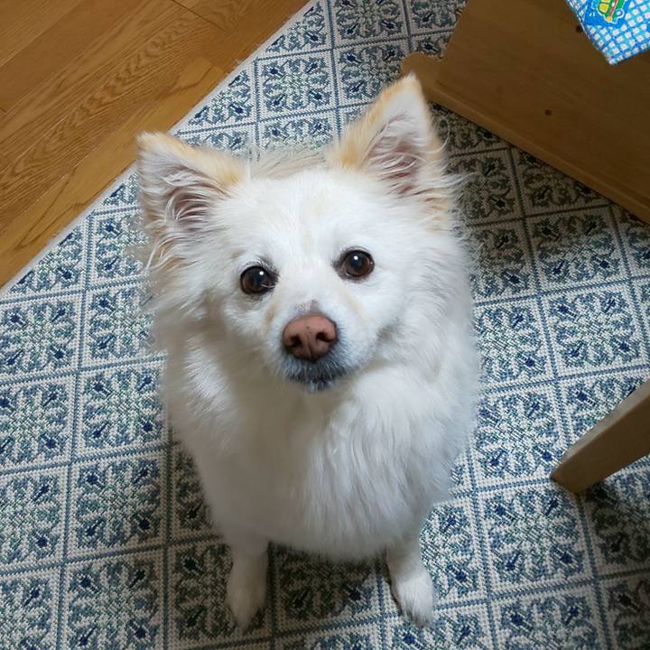 27118698 8f2e 47eb 96e4 f4810c2a697e 1711883663036