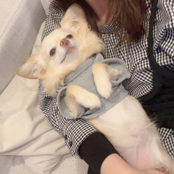 2711a3b3 63c5 46fd 8cd5 df308006de81 1746183870879