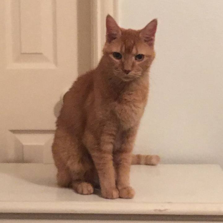 2711f0de a292 40a9 af76 75694eb8a95e 1663646401605