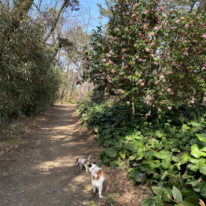 2711f6b7 0341 4485 9873 e405517d6dae 1617342995886