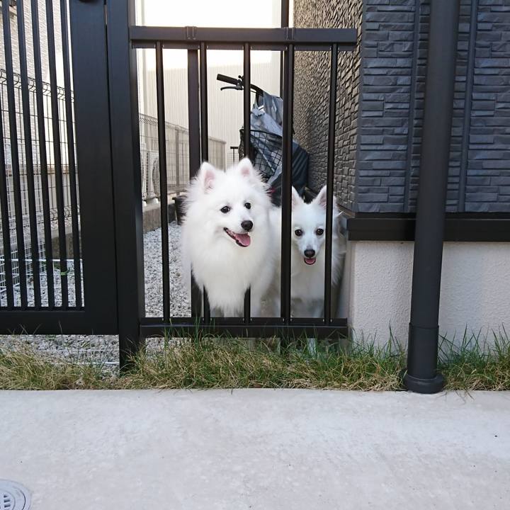 271206b9 2913 463f b449 c13e0d0c5faa 1558773071258