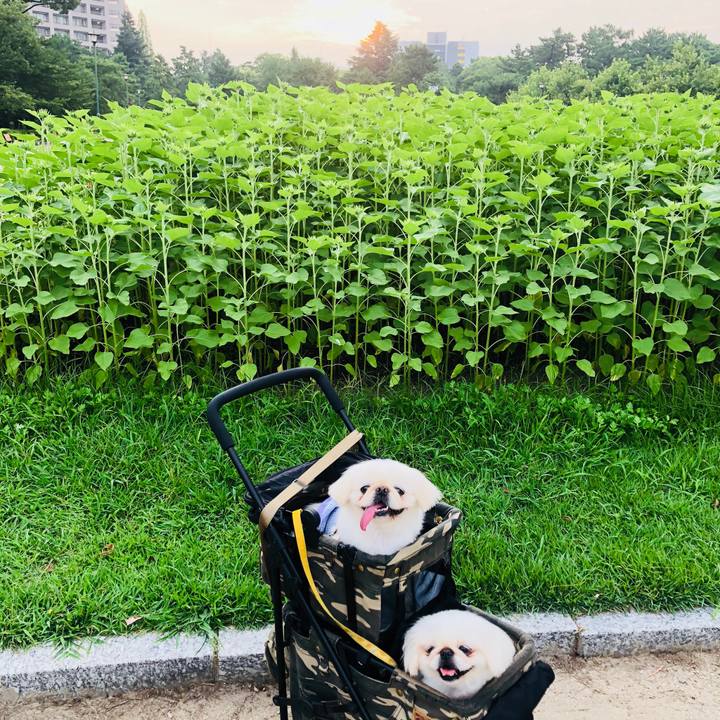 2712294f 36fb 4e6b 99f6 94bb39b0121a 1596578190108