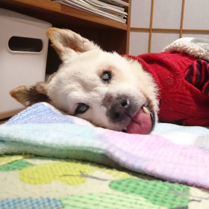 271245c4 8b42 4782 a803 56513c7fc563 1547211025283