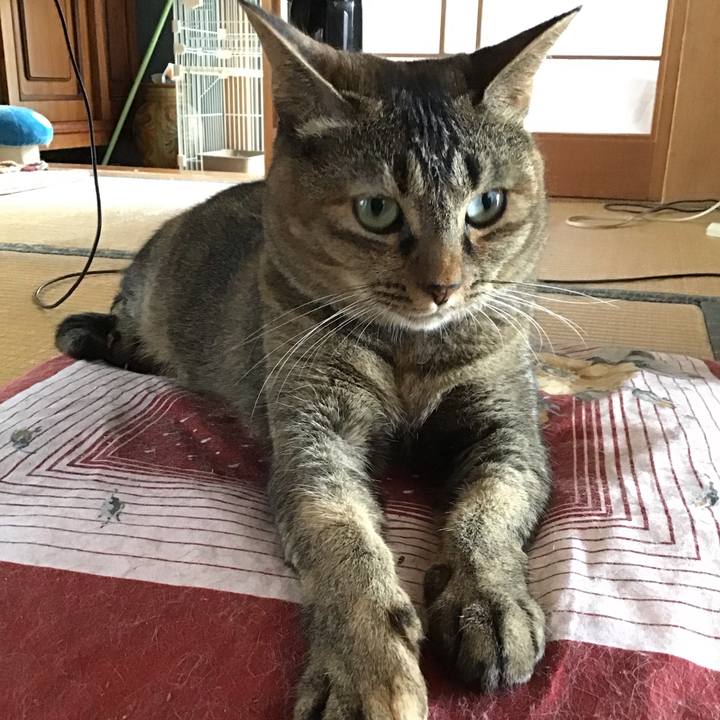 2712fdd4 072f 486e 85fa 5aa424cf5033 1659781319418