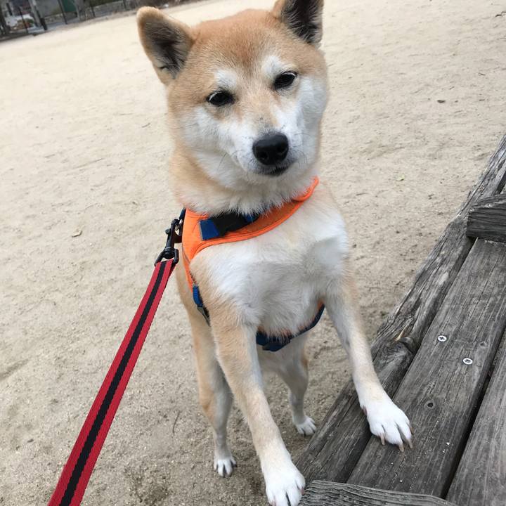 27133925 5d7b 41ef b0f3 ec796ffcbfeb 1516665458257