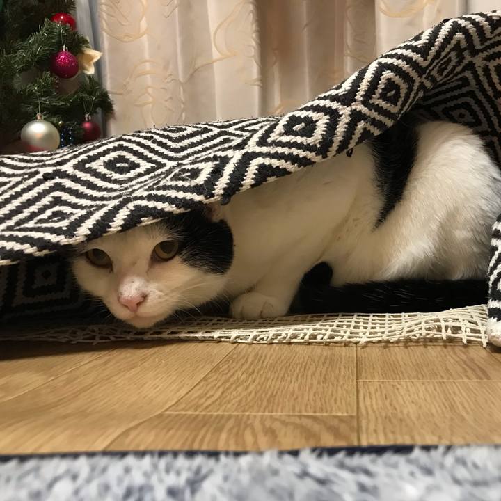 27134368 b53d 40a2 bfb4 dbcea8b6c5df 1577023656186