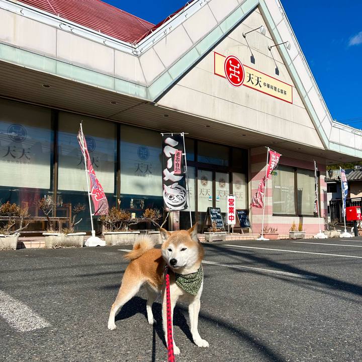 271345c4 1674 4278 a4c5 26c3947d296d 1705316664753