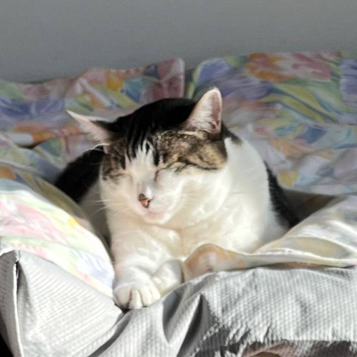 27136a52 77c2 472a 8a4e 5d9f7c4a542e 1702548718487