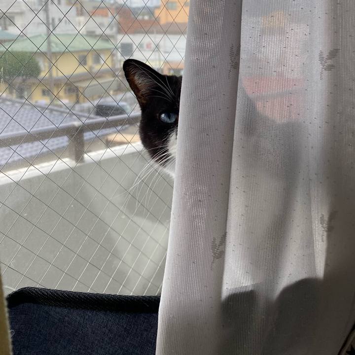 2713ac1b 3ead 44d5 8a04 6cdb2c93fc0f 1642471558414