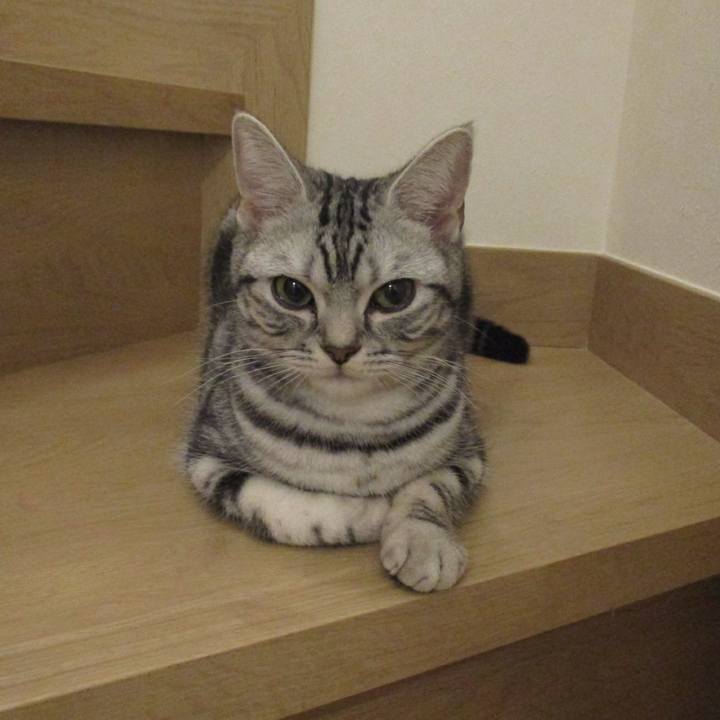 2713bf84 dad0 4554 aa88 d6c7daecb857 1552737610229