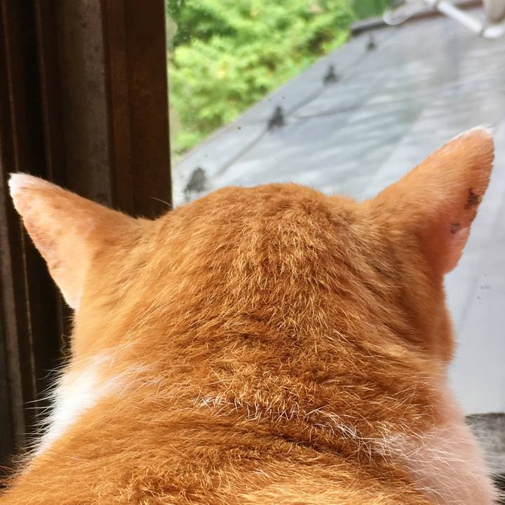 2713f6f0 5148 46c2 a952 5b34120100c8 1564902457749