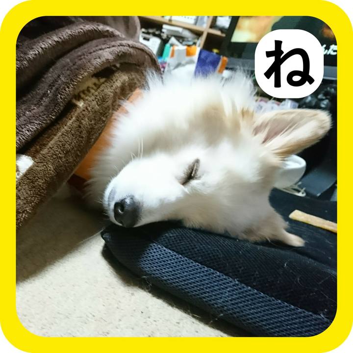 27142310 19e7 4bfa ba00 7a5d9333db5a 1514805122097