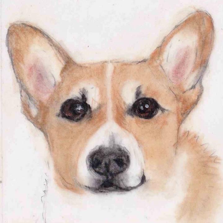 27142c29 f45e 4ac2 a945 4cff2947bbb5 1661864392386