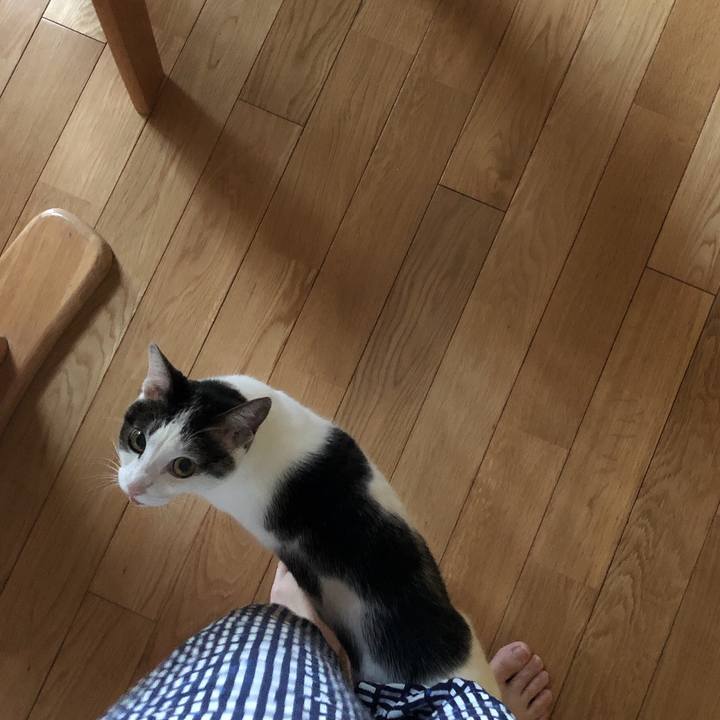 27144ea4 00b1 45c7 86cd a490c9da93e9 1633298592587