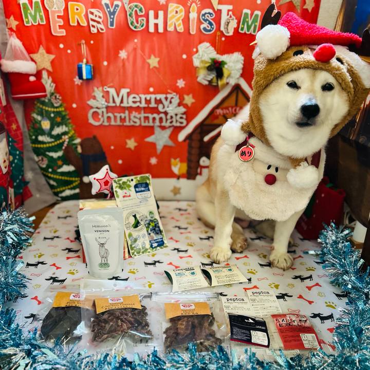 27146e03 2dc5 4794 8620 22100d4886dc 1734930415452