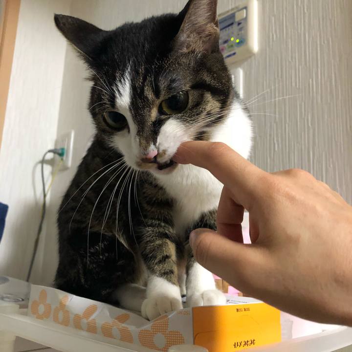 271496d6 d18c 4cae bff5 bfbf3d2c454a 1516807909112