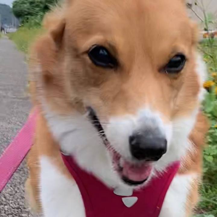 2714b1c6 25d2 4014 9c43 7e5c4b3244a0 1666677840336