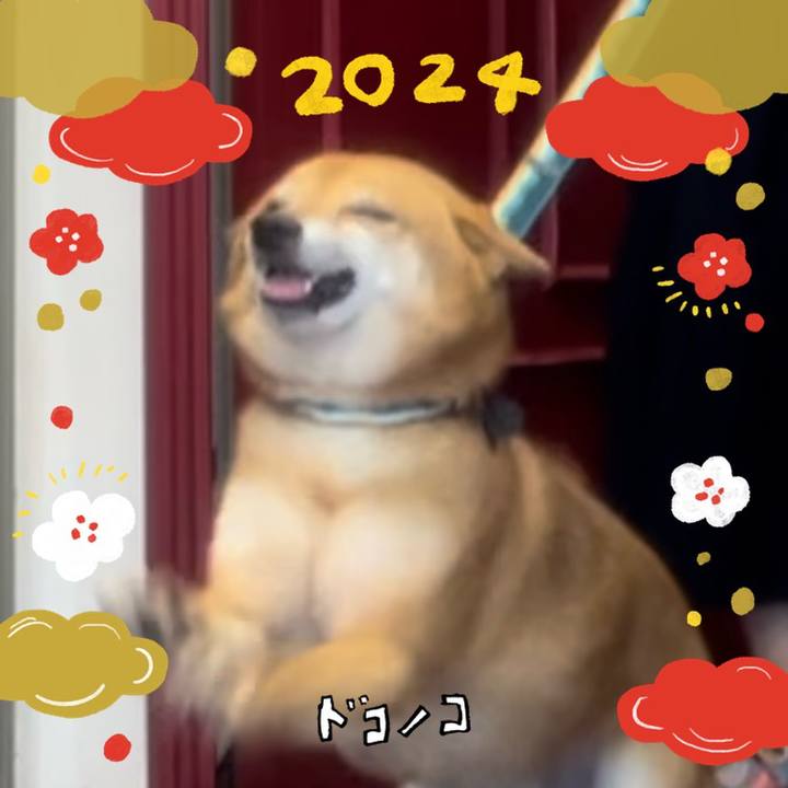 2714b629 2101 4e08 a897 84fbdad28669 1704075674189
