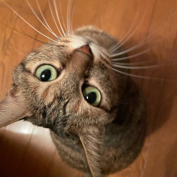 2714b6a2 59c7 4fd0 8eef 4b82baf48ab7 1636806186322