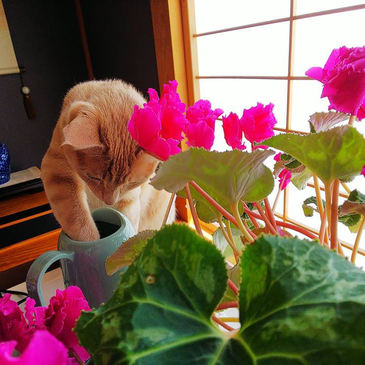 2714cdec 04df 4fcc a38b 5f55e0d4ae1e 1553320093378