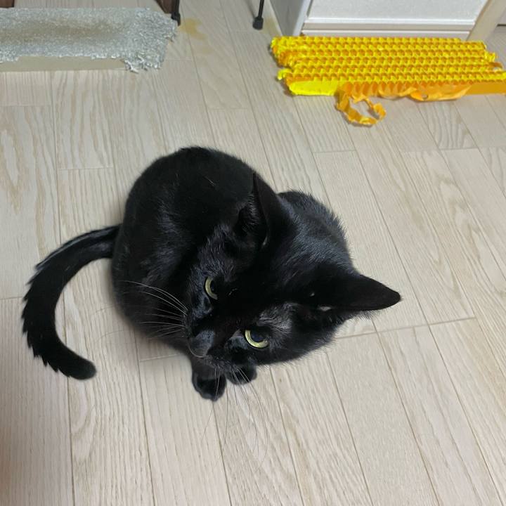 2714db1a d01d 49db b057 957f00f0b951 1737551930328