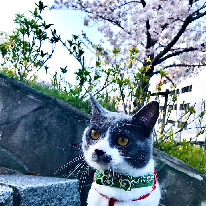 2714e358 a3cf 48f4 ba80 794fa4e839ee 1680835787453