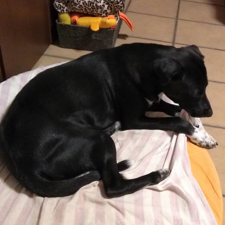 2714ff93 8b23 4fa3 9282 c722330eb5e4 1587601517471